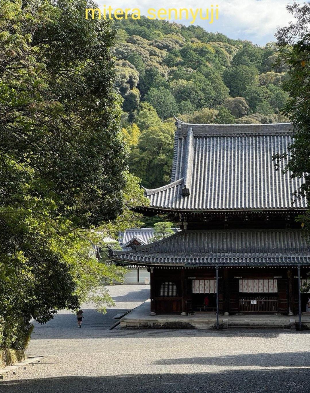 Walker House Kyoto 65 Square Meters Whole Villa Rent Exterior foto